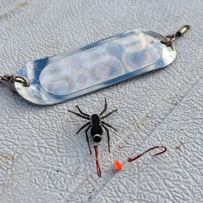 Mồi Câu Spider Bead Fishing Lure
