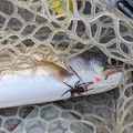 Mồi Câu Spider Bead Fishing Lure - Thumbnail 5