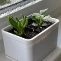 Chậu Hoa Trong Nhà Hình Chữ Nhật - Thumbnail 1