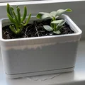 Chậu Hoa Trong Nhà Hình Chữ Nhật - Thumbnail 2