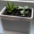 Chậu Hoa Trong Nhà Hình Chữ Nhật - Thumbnail 3