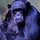 jeracom_1569127