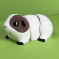 Chuột lang (Guinea Pig) Articulated – Mẫu print-in-place siêu dễ thương - Thumbnail 6