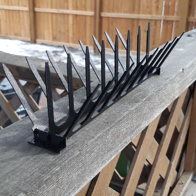 Gai Chống Chim In Phẳng (Print Flat Bird Spikes)