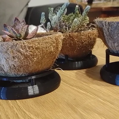 Khay/Đế lót chậu dừa “Coconut Plant Pot Tray Dish Stand Thingy-Mabop”