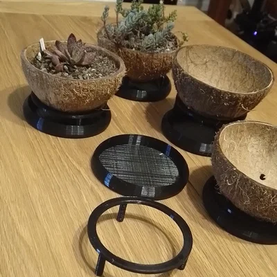 Khay/Đế lót chậu dừa “Coconut Plant Pot Tray Dish Stand Thingy-Mabop”