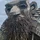 BryanWard_3437544