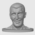 Mô hình tượng Andrej Babiš (12cm) - File in 3D chi tiết - Thumbnail 3