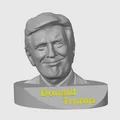 Tượng Bán Thân Donald Trump (Bust Donald Trump) - File In 3D - Thumbnail 3