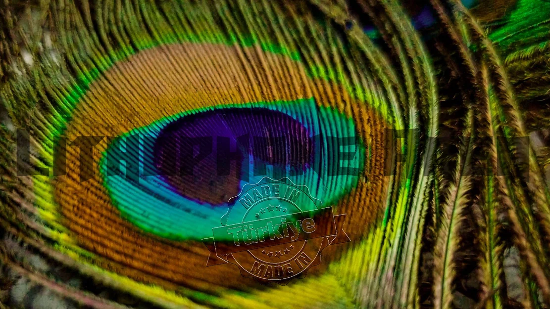 Mẫu in 3D tranh Lithophane lông công nghệ thuật đầy màu sắc - Image 1