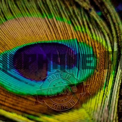Mẫu in 3D tranh Lithophane lông công nghệ thuật đầy màu sắc