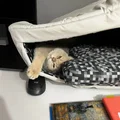 Khung bên trong cho Retro Monitor Pet Cave từ lttstore - Thumbnail 3