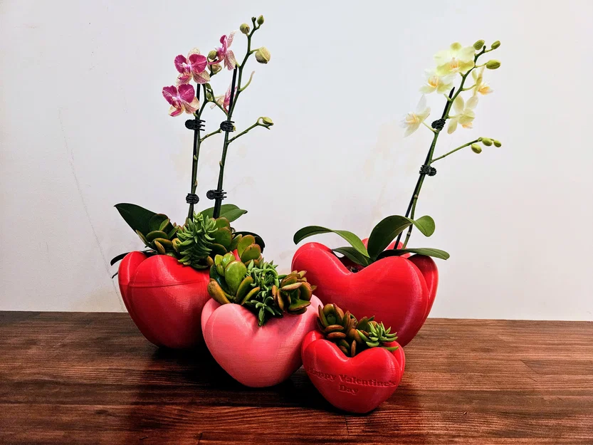 Chậu hình trái tim (Heart Shaped Pot) - Image 1