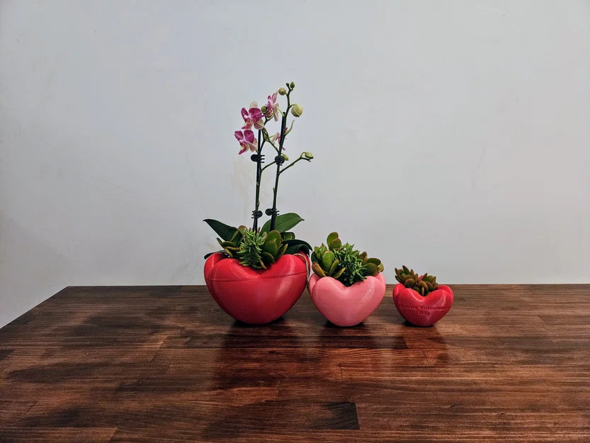 Chậu hình trái tim (Heart Shaped Pot) - Image 2