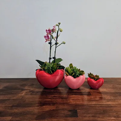 Chậu hình trái tim (Heart Shaped Pot)