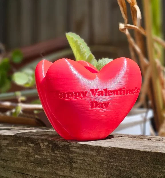 Chậu hình trái tim (Heart Shaped Pot) - Image 3