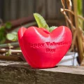 Chậu hình trái tim (Heart Shaped Pot) - Thumbnail 3