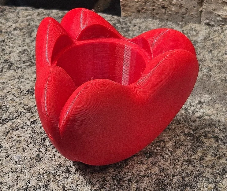 Chậu hình trái tim (Heart Shaped Pot) - Image 4