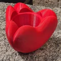 Chậu hình trái tim (Heart Shaped Pot) - Thumbnail 4