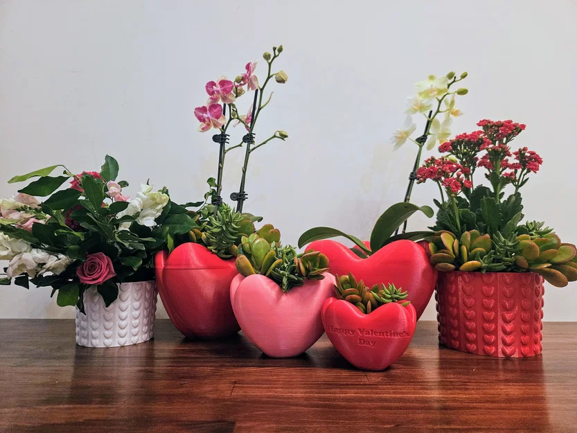 Chậu hình trái tim (Heart Shaped Pot) - Image 5