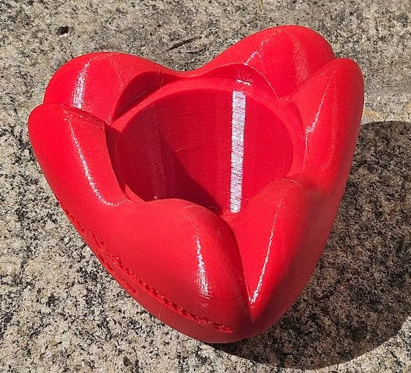 Chậu hình trái tim (Heart Shaped Pot) - Image 7