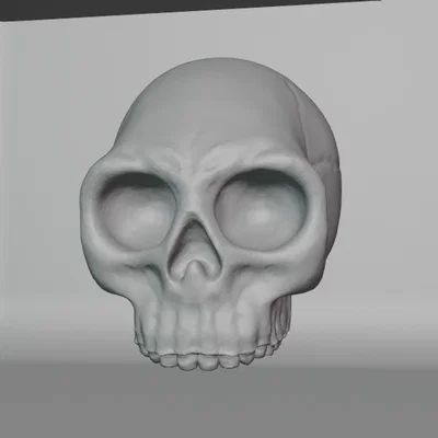 Mô hình 3D hộp sọ người cách điệu độc đáo (Human Skull Stylized)