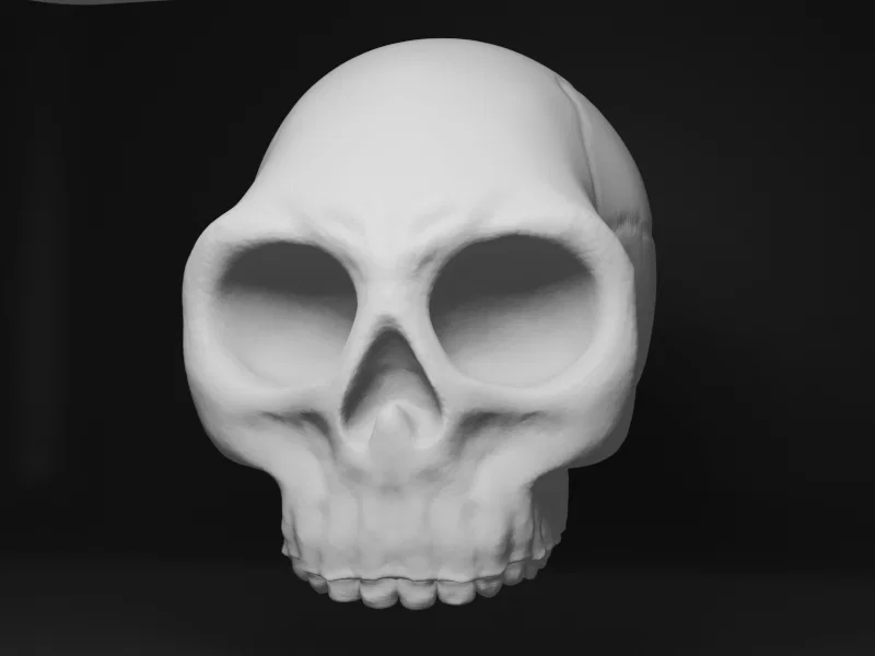 Mô hình 3D hộp sọ người cách điệu độc đáo (Human Skull Stylized) - Image 2