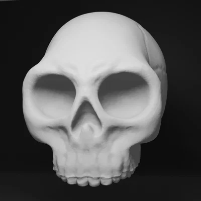 Mô hình 3D hộp sọ người cách điệu độc đáo (Human Skull Stylized)
