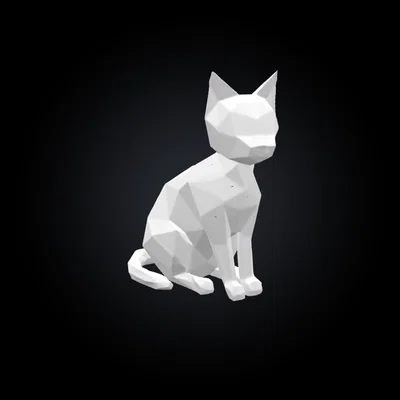 Cat Decor (Decor Mèo Tối Giản)