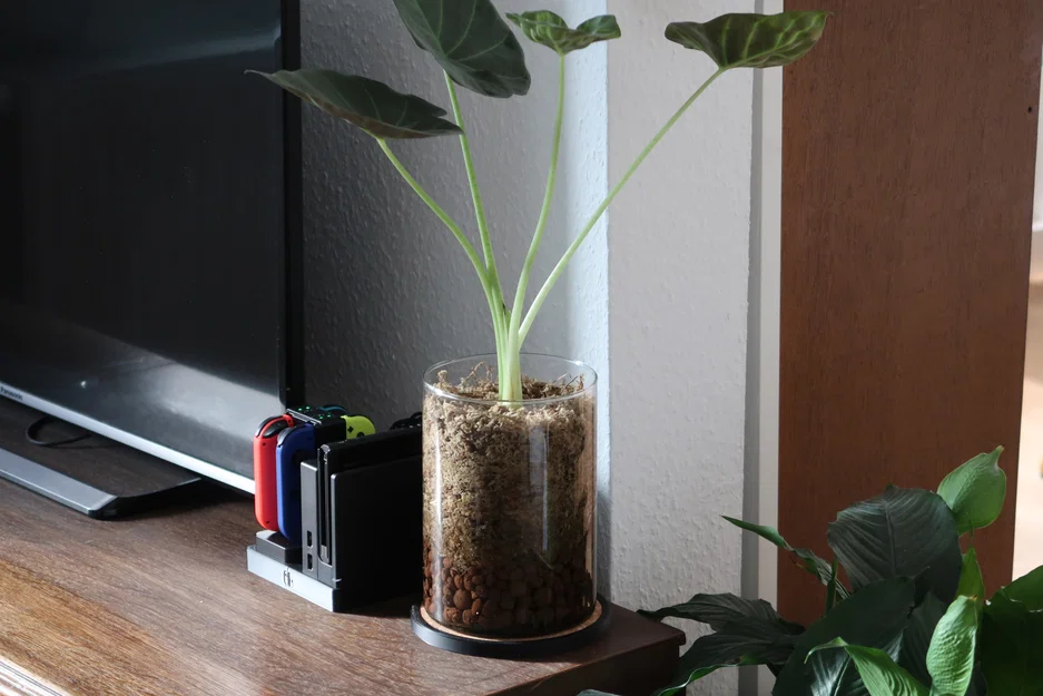 Miếng Lót Chậu Cây Cork Nhúng Sẵn (Cork Plant Coaster) - Image 1