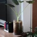 Miếng Lót Chậu Cây Cork Nhúng Sẵn (Cork Plant Coaster) - Thumbnail 1