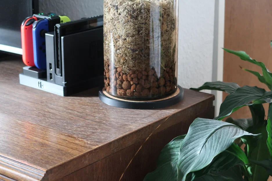 Miếng Lót Chậu Cây Cork Nhúng Sẵn (Cork Plant Coaster) - Image 2