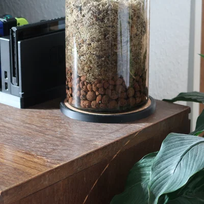Miếng Lót Chậu Cây Cork Nhúng Sẵn (Cork Plant Coaster)