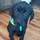 Draga_133624