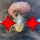 gill4321_1315819