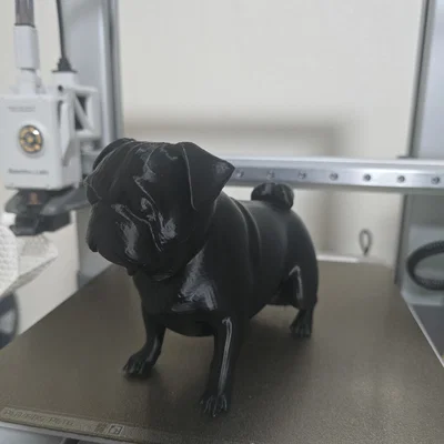 Mô hình chú chó Pug đi vệ sinh (Pooping Pug) ngộ nghĩnh in 3D