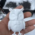 Cú tuyết (Snowy owl) – chim săn mồi hoạt động ban đêm - Thumbnail 2