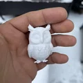 Cú tuyết (Snowy owl) – chim săn mồi hoạt động ban đêm - Thumbnail 6