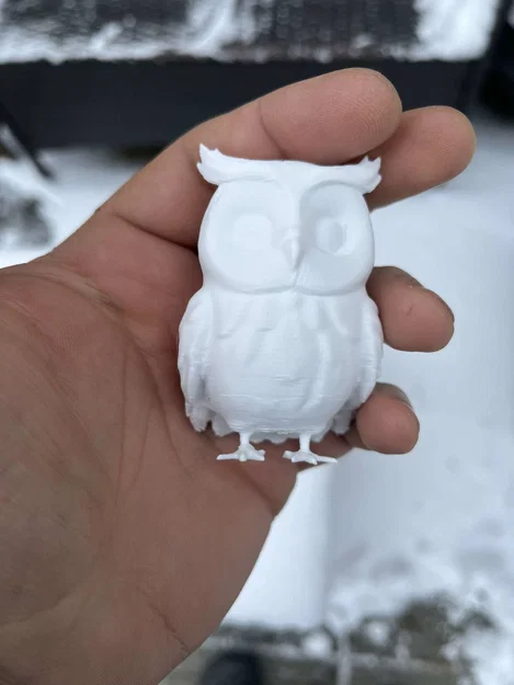 Cú tuyết (Snowy owl) – chim săn mồi hoạt động ban đêm - Image 7