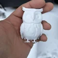 Cú tuyết (Snowy owl) – chim săn mồi hoạt động ban đêm - Thumbnail 7