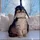 drfish_173055