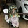 Delpo_08_1430947