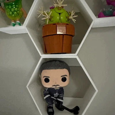 Kệ lục giác Hex Shelf in 3D treo tường trưng bày mô hình cực chất