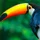 Pixel_1616728