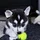 ave_ketchup_4444821