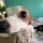 Dman_588929