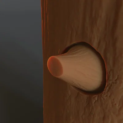 Chân nến hình khúc cây (Tree Trunk candle holder)