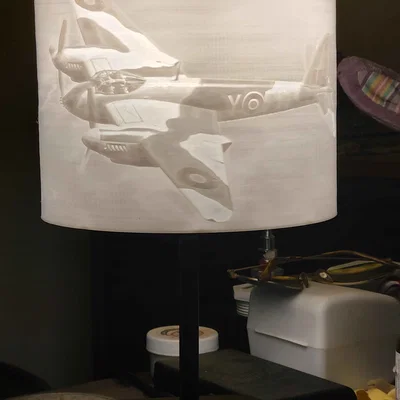 Chụp Đèn Lithophane DH98 Mosquito