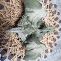 Mô hình rồng con trong tổ (Dragon in its nest) - Tác phẩm nghệ thuật 3D - Thumbnail 17