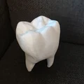 Mê cung Răng Rỗng (Hollow Tooth Maze) - Thumbnail 1